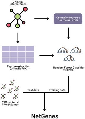 NetGenes: A Database of Essential Genes Predicted Using Features From Interaction Networks